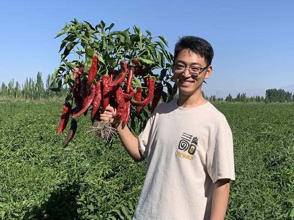 全景展现米兰体育在线登录与那不勒斯续