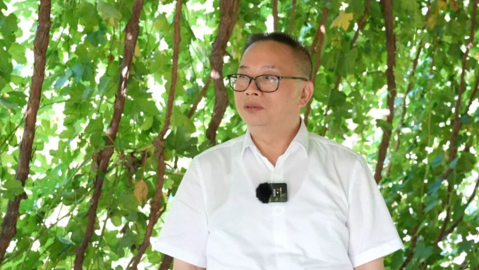 中国工程院院士