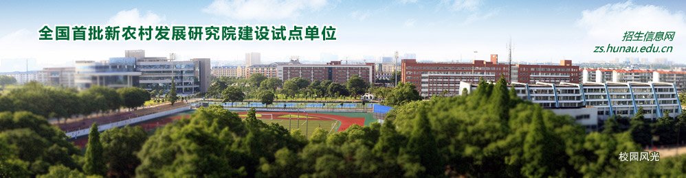 电话/Tel