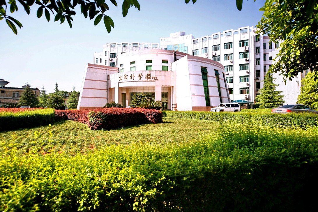 生命科学楼